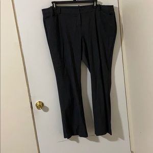 Dress Pants